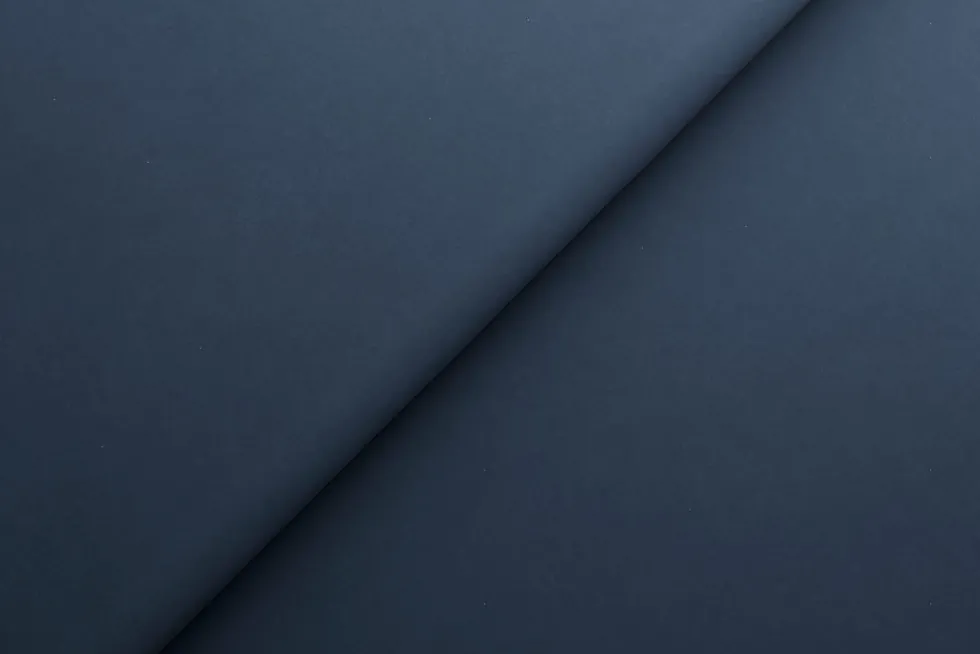 Łóżko tapicerowane Pasadena Frame Storage, Beech Black, Seven Navy 49, 160x200 cm